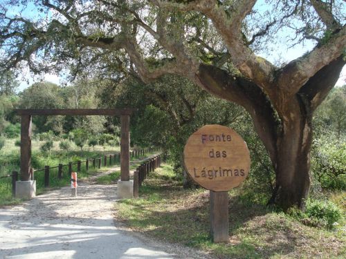 Parque de Merendas Fonte das L&aacute;grimas