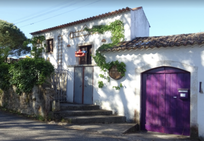 Vinhos Cort&eacute;m